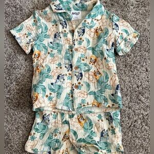 Bluey matching Hawaiian set